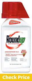 Roundup Weed and Grass Killer