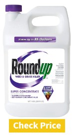 Roundup Weed and Grass Killer Concentrate Plus