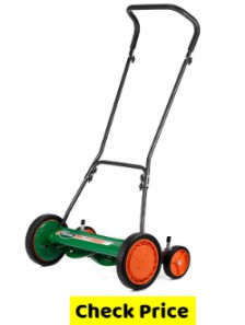 Best Small Lawn Mower 2022